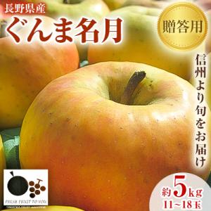2026年発送「産地より信州中野の旬をお届け」 長野県産ぐんま名月　贈答用　約5kg