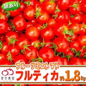 【訳あり】下妻市産　あまーい!フルーツミニトマト1.8kg(アイメック栽培で栄養素が豊富)