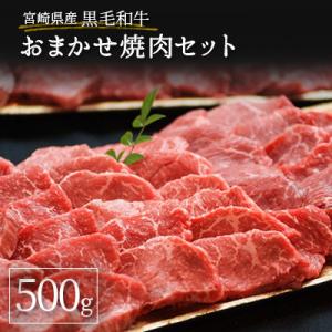 ふるさと納税 新富町 宮崎県産黒毛和牛　おまかせ焼肉セット 500g