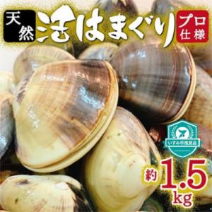 ふるさと納税 いすみ市 天然はまぐり約1.5kg (千葉県産)