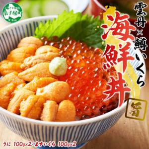 ウニ 約200g 鱒いくら醤油漬け 約200g 2種 海鮮丼 北海道 弟子屈町 3620