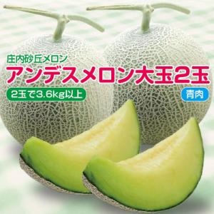 庄内砂丘メロン　アンデスメロン(青肉)大玉2玉で3.6kg以上　つる付　化粧箱入