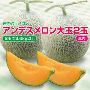 庄内砂丘メロン　アンデスメロン(赤肉)大玉2玉で3.6kg以上　つる付　化粧箱入