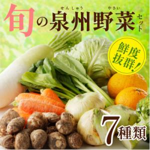 ふるさと納税 泉佐野市 旬の野菜セット 詰め合わ...の商品画像