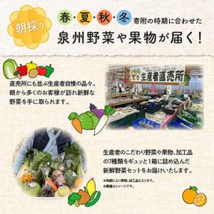 ふるさと納税 泉佐野市 旬の野菜セット 詰め合...の詳細画像1