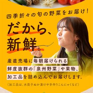 ふるさと納税 泉佐野市 旬の野菜セット 詰め合...の詳細画像2