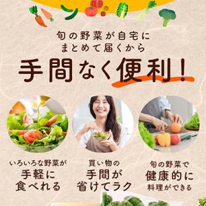 ふるさと納税 泉佐野市 旬の野菜セット 詰め合...の詳細画像3