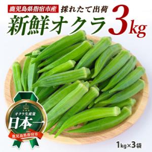 【2026年5月上旬～発送!】新鮮オクラ1kg×3袋(IB066-005)