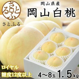 【2026年7月上旬より順次発送】岡山白桃 ロイヤル 4～8玉 1.5kg 岡山県産