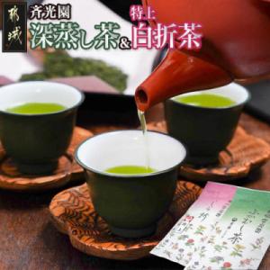 深蒸し茶&特上白折茶160gセット【宮崎県 都城市 お茶の斉光園】