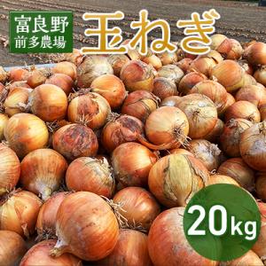 【2026年発送　先行受付】玉ねぎ　1箱(20kg)