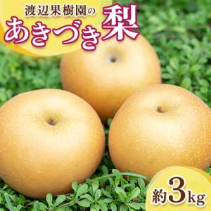 渡辺果樹園のあきづき梨　約3kg【9月中旬～10月上旬にお届け】