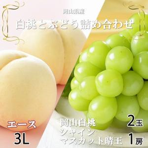 【先行受付】岡山県産　岡山白桃エース3L300g×2玉・シャインマスカット晴王600g×1房　詰合