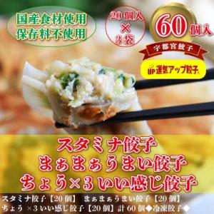 ふるさと納税 宇都宮市 宇都宮餃子　豚餃子3種類(合計60個)　保存料不使用｜y-sf