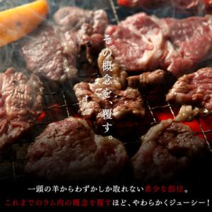 ふるさと納税 苫小牧市 生ラム肩ロース ジンギ...の詳細画像1