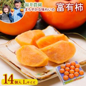 福井農園の富有柿Lサイズ(14個入)福井農園独自の肥料で栽培
