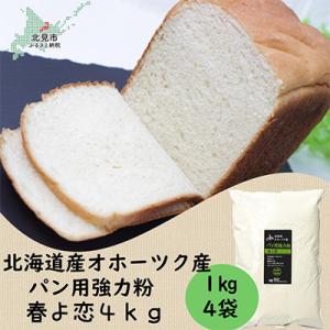 ふるさと納税 北見市 【北海道オホーツク産】パン用小麦粉(強力粉)　春よ恋　4kg｜y-sf