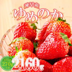 ふるさと納税 諫早市 【先行受付】みんなの夢が叶うおいしいイチゴ(ゆめのか)8パック