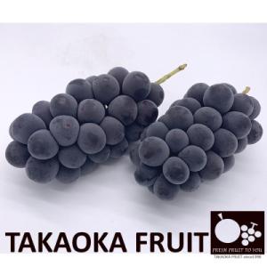 「産地より信州中野の旬をお届け」 種なし巨峰　贈答用　約1kg