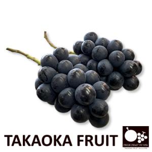 2026年発送「産地より信州中野の旬をお届け」 ナガノパープル　贈答用　約1kg