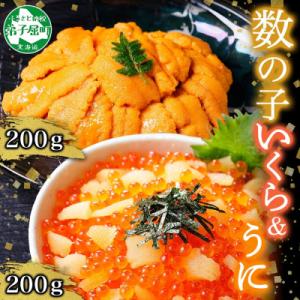 ふるさと納税 弟子屈町 【のし付】数の子いくら醤油漬け 200g&amp;うに 200g 約4人前 北海道 ...