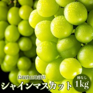 【先行受付2026年発送】シャインマスカット　鳥取砂丘地産　1kg(2房入り)