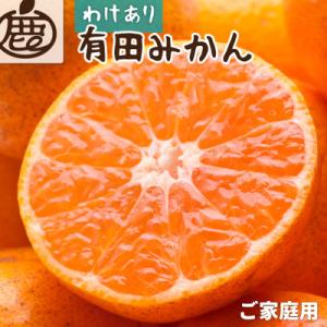 家庭用 有田みかん5kg+250g(傷み補償分)【光センサー選果】【訳あり】