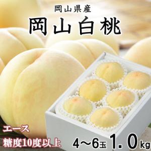 岡山白桃 エース 4～6玉 1kg 岡山県産
