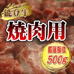 【A4・A5能登牛】焼肉用厳選部位500g
