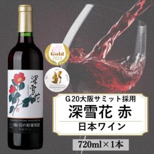 ふるさと納税 上越市 G20大阪サミットワーキングランチ採用　岩の原ワイン　深雪花(みゆきばな)　赤