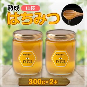 ふるさと納税 瑞浪市 純粋ハチミツ(山桜300g×2)