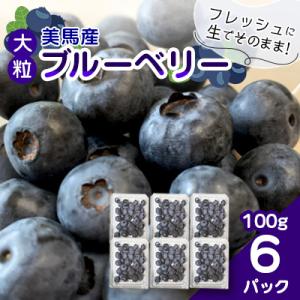 【2026年6月より順次発送】美馬の大粒ブルーベリー