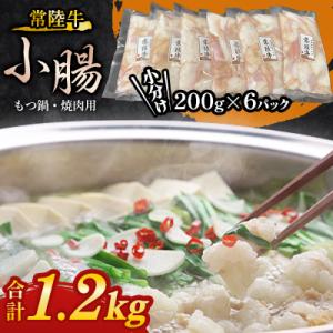 ふるさと納税 牛久市 【常陸牛】もつ鍋 焼肉用 ...の商品画像