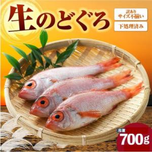 調理済　訳あり香住産のどぐろ