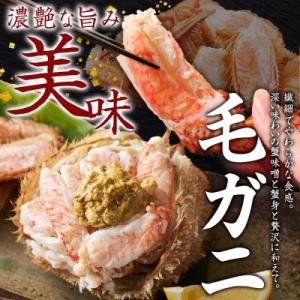 ふるさと納税 弟子屈町 【のし付】毛蟹 2尾 ...の詳細画像1