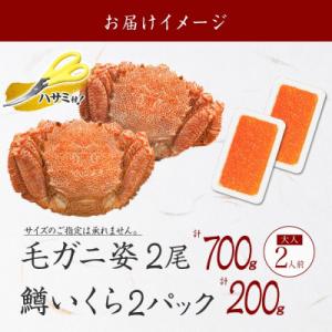 ふるさと納税 弟子屈町 【のし付】毛蟹 2尾 ...の詳細画像3