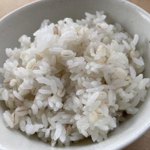 ふるさと納税 志木市 二種もち麦(2個)・国産...の詳細画像1