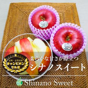 ふるさと納税 長野県 シナノスイート チャンピオンりんご 贈答用 秀 約3kg 7-12玉 長野県・志賀高原産