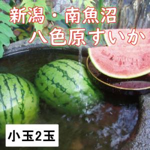 【先行予約】【新潟県 南魚沼産】八色原スイカ小玉2玉