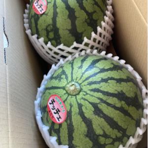 【夏の贈り物】秋田県産　あきた夏丸チッチェ　小玉すいか　2玉(L～2Lサイズ)