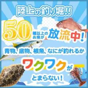 九十九里海釣りセンター