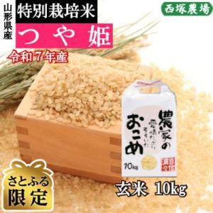 ふるさと納税 最上町 【さとふる限定】新米先行受付　令和7年産 特別栽培米つや姫　玄米 10kg　山形県産　西塚農場のお米