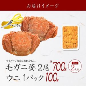 ふるさと納税 弟子屈町 【のし付】毛蟹2尾 計...の詳細画像3