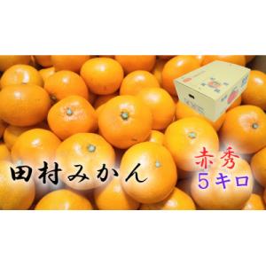 【2026年11月下旬より発送】田村みかん　秀品　5kg(2Sサイズ)