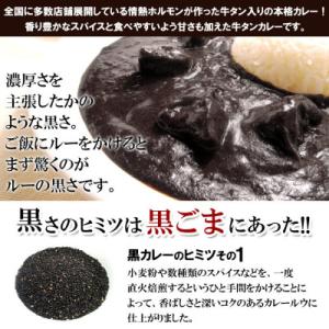 ふるさと納税 泉南市 ●牛タン黒カレー(200...の詳細画像1
