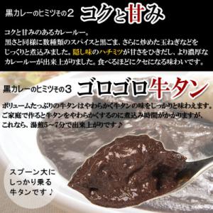 ふるさと納税 泉南市 ●牛タン黒カレー(200...の詳細画像2