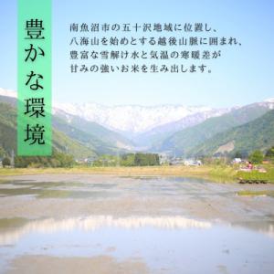 ふるさと納税 南魚沼市 【R7年産】上品な香り...の詳細画像2