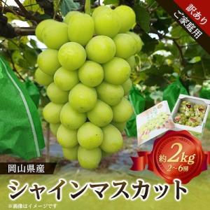 【訳あり】岡山県産シャインマスカット(ご家庭用)約2kg