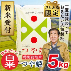 【さとふる限定】令和7年産山形県産特別栽培米つや姫5kg(白米)