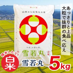 【白米】令和7年産山形県産雪若丸5kg